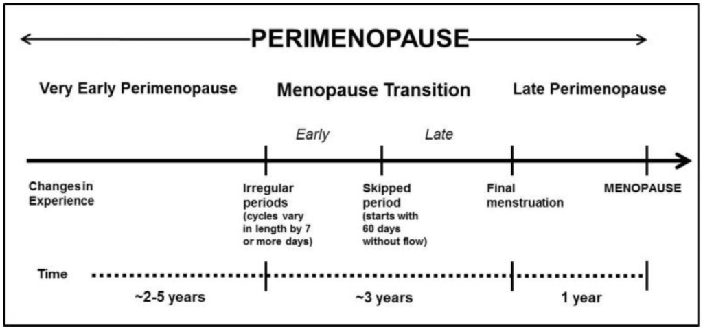 Perimenopause Timeline 1024x483 